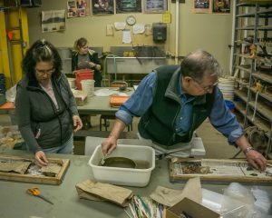 Image of volunteers working in the lab